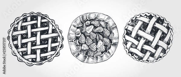 Fototapeta Ink hand drawn set of berry pies. Food elements collection. Vector illustration. Menu or signboard template.