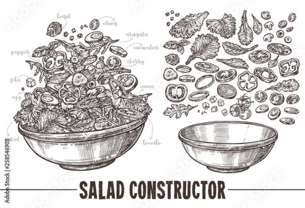 Obraz Vector monochrome set of sketch elements, components and ingredients for vegetables salat. Hand drawn collection of cut products and plate