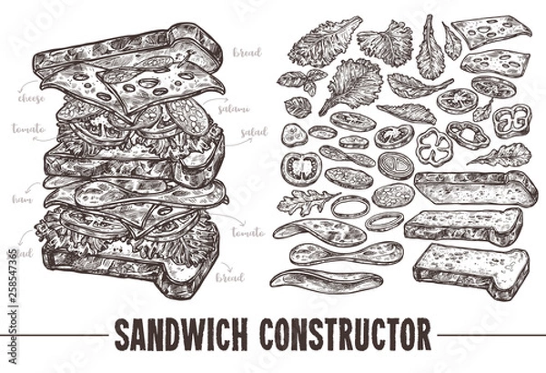 Obraz Hand drawn monochrome vector sandwich with ingredients. Sketch illustration burger products components and elements. Constructor for fast food restaurant menu