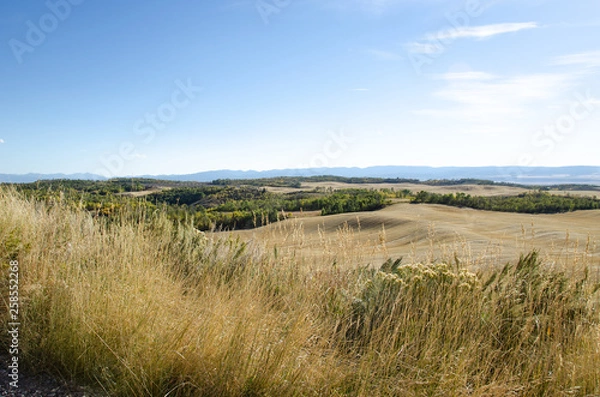 Obraz Wheat Meadow and Mountains