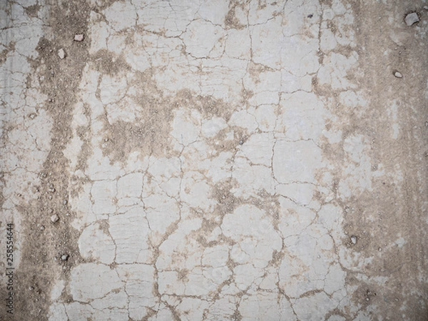 Fototapeta Dirt patch close up. Dry dirt texture