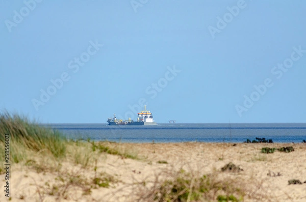 Fototapeta Cargo ship passing by Felixstowe shore