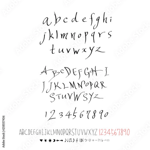 Fototapeta 벡터 문자 / 손으로 쓴 글씨체