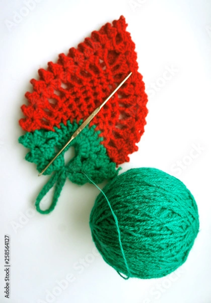 Fototapeta Tack knitted hook