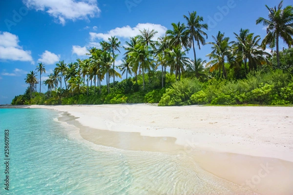 Obraz tropical paradise beach with white sand and coco palms travel tourism 