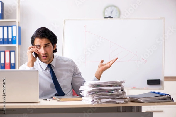 Obraz Young handsome financial speciaist in front of white board 