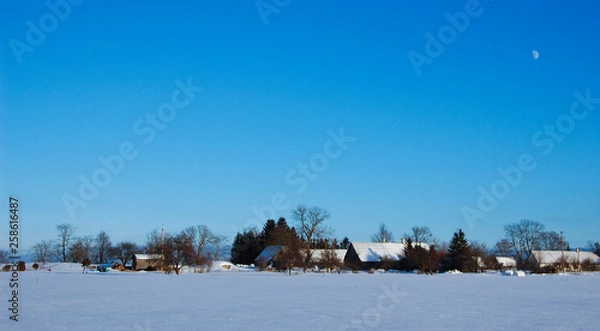 Fototapeta winter landscape with trees