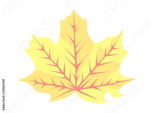 Obraz Maple Leaf 2