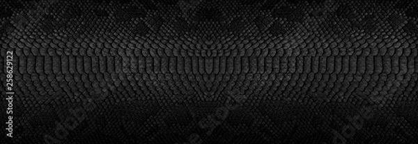 Fototapeta Snake skin background. Panoramic web banner with copy space.