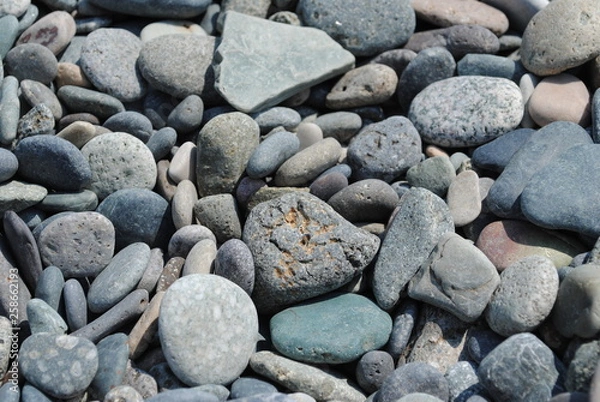 Obraz pebbles on the beach