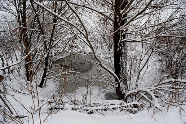 Fototapeta a frozen puddle in a forest