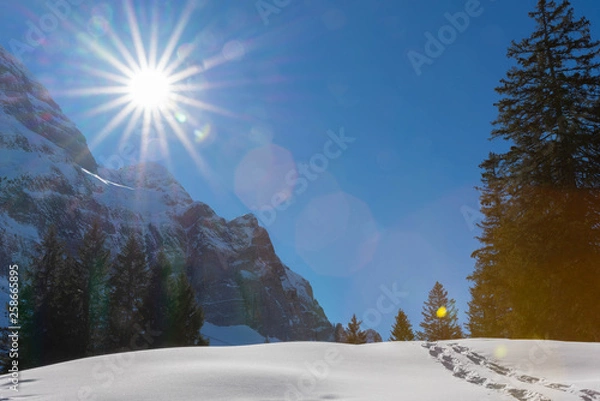 Obraz Sonnenstrahlen im Gebirge