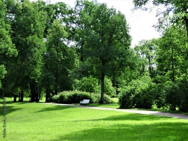 Obraz Path in the park