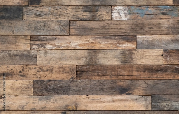 Obraz Wood texture background, natural tree