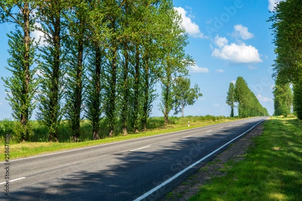 Fototapeta Good asphalt country highway road in field in summer