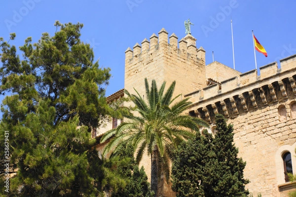 Fototapeta palma de mallorca