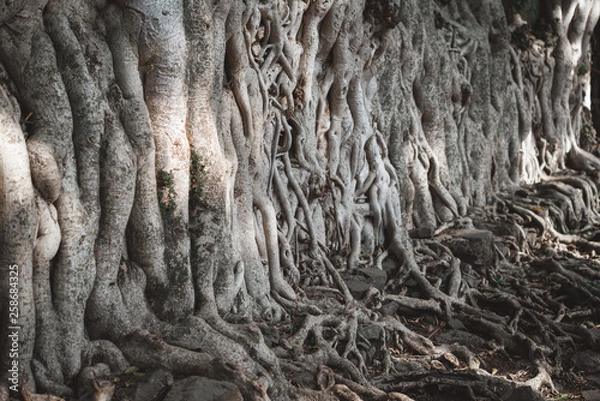 Obraz Strong team spirit