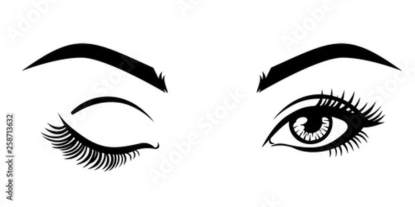 Fototapeta Vector illustration, with closed and open eyes.
