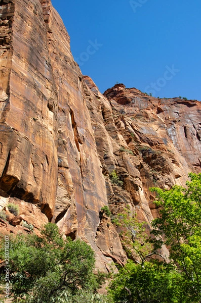 Fototapeta Canyon Wall