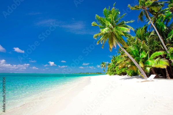 Obraz Holiday Paradise