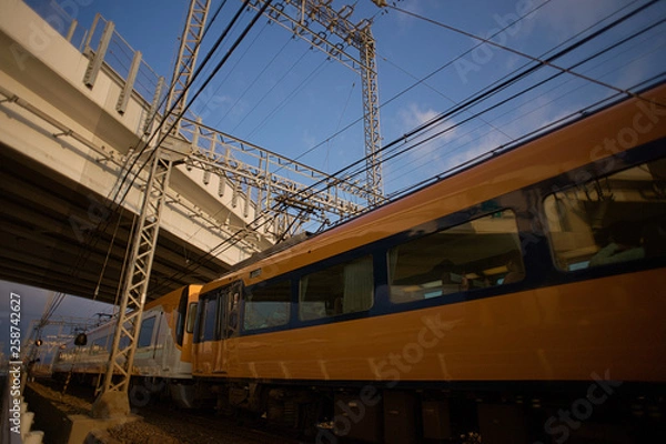 Fototapeta 近鉄特急「ビスタカー」