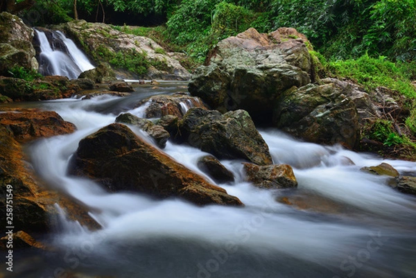 Obraz waterfall in the forest