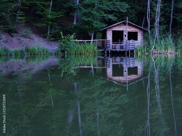 Obraz house on the lake