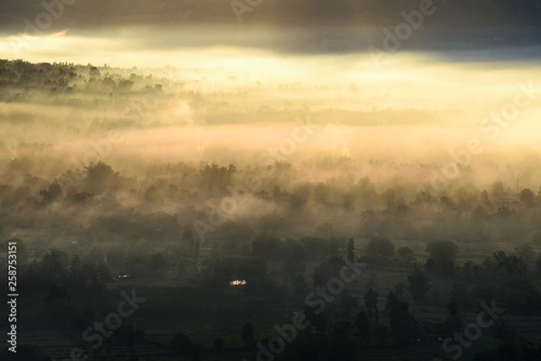 Obraz sunshine and mist 