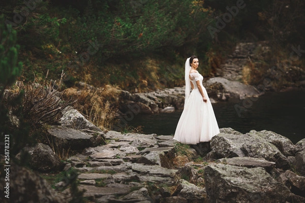 Fototapeta Rear view of bride in beautiful wedding dress standing on the lake shore with scenic mountain view in Poland.