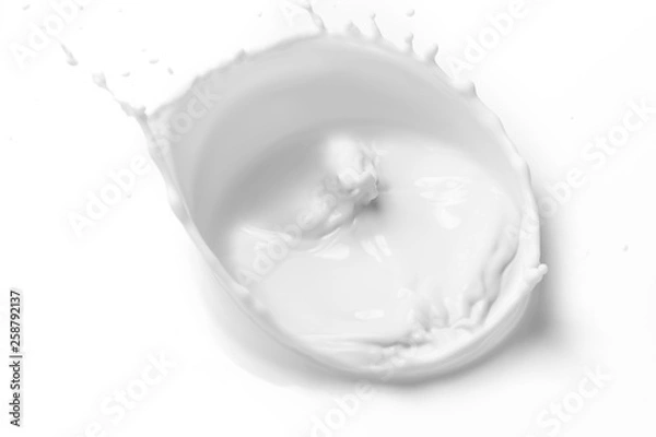 Obraz Pouring milk splash isolated on white background.Milk splash on white background.