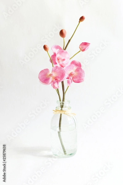 Fototapeta pink orchid in vase