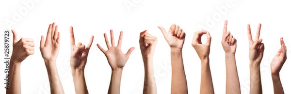Fototapeta Set of gesturing hands isolated on white background