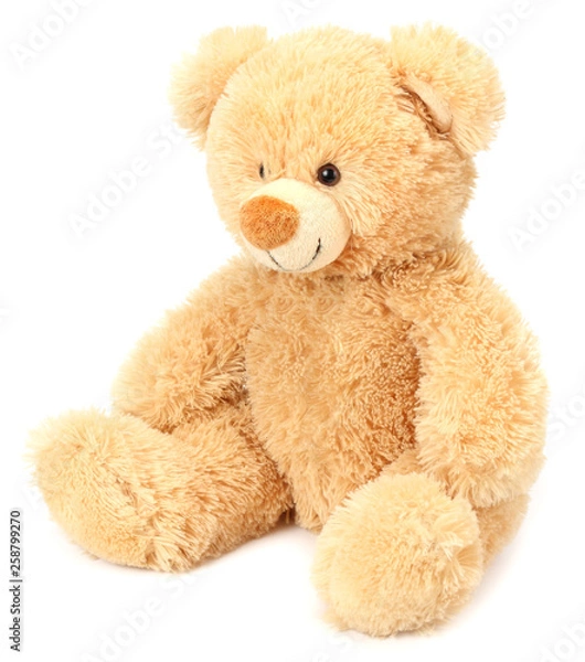 Obraz toy teddy bear isolated on white background