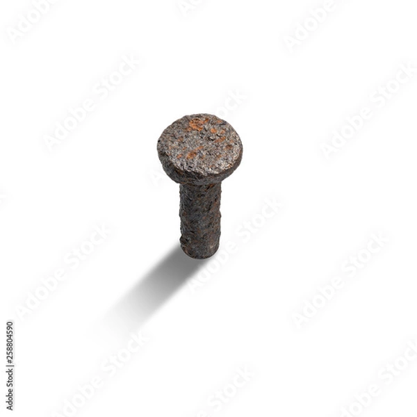 Obraz Rusty nail
