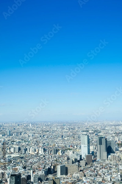 Fototapeta 東京　都市風景