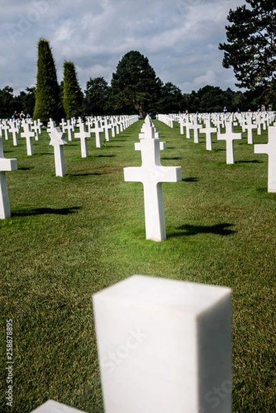 Obraz Crosses in Field