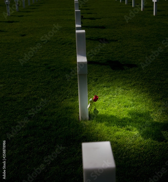 Obraz Cross with rose