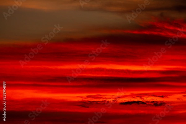 Obraz 夕焼け空アップ