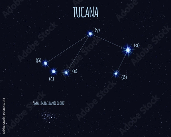 Obraz Tucana (The Toucan) constellation, vector illustration with the names of basic stars against the starry sky 