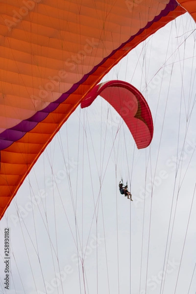 Obraz Paragliding in the sky