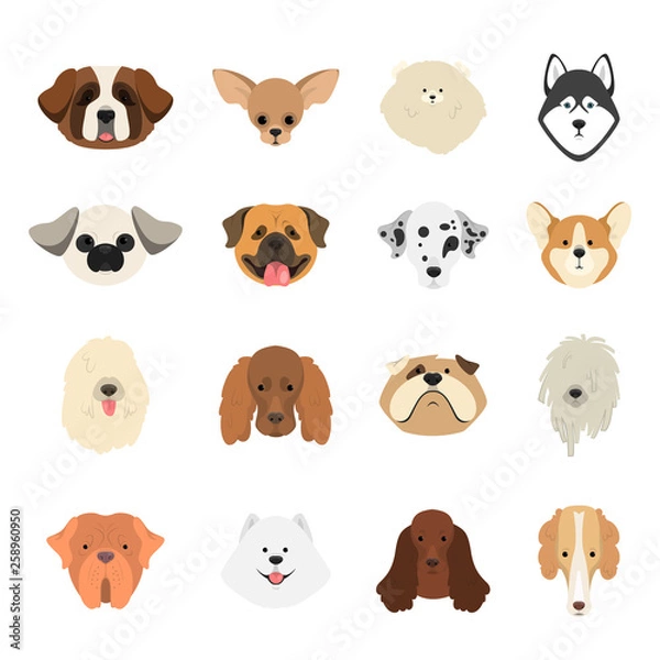 Obraz Dog set. Collection of dogs of various breed