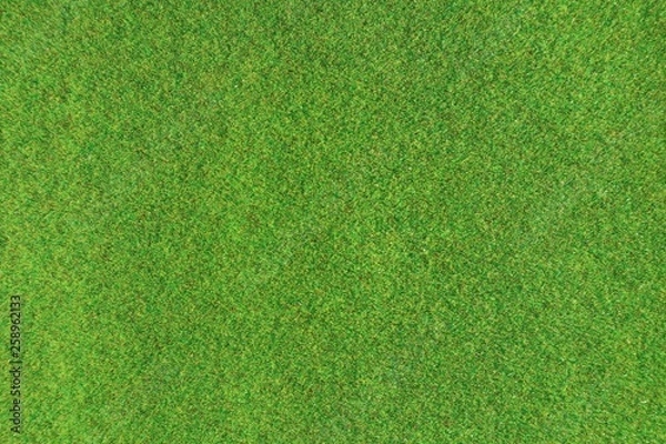 Obraz 芝生の背景