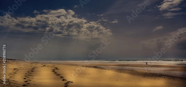 Obraz sunset on the beach