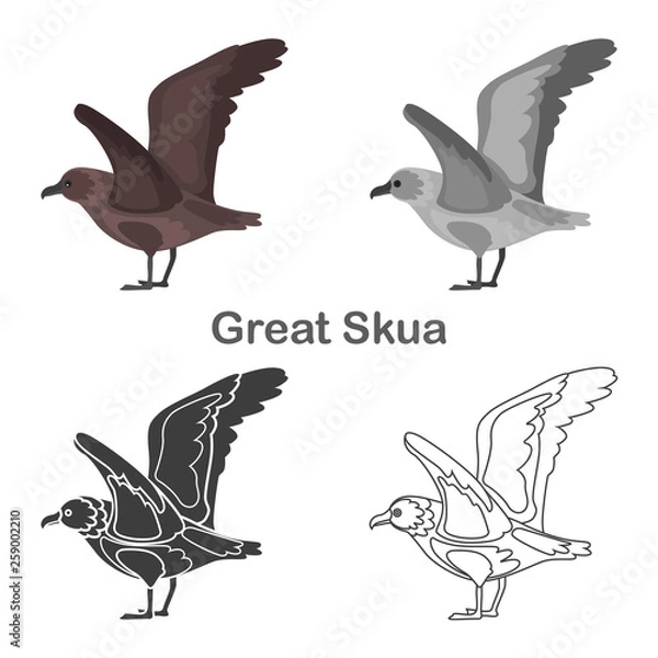 Fototapeta Great skua color flat, simple, line, black and white concept icons set