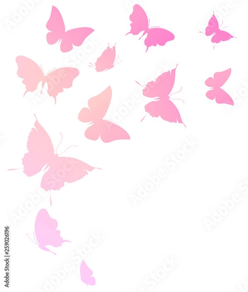 Obraz beautiful pink butterflies, isolated  on a white