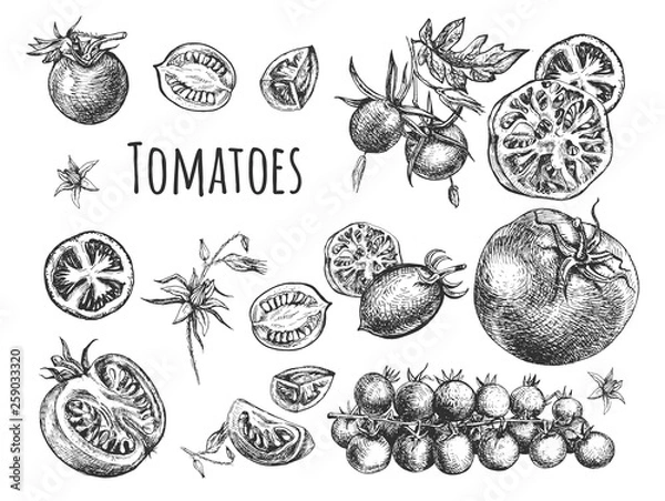 Fototapeta Kompozycja pomidorów pokrojonych i całych