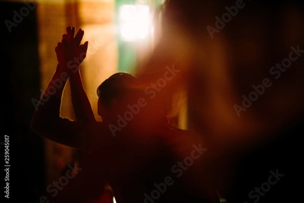 Obraz Shadow dancers