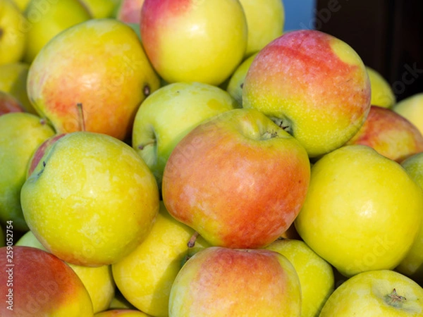 Obraz Lots of fresh green red apples.