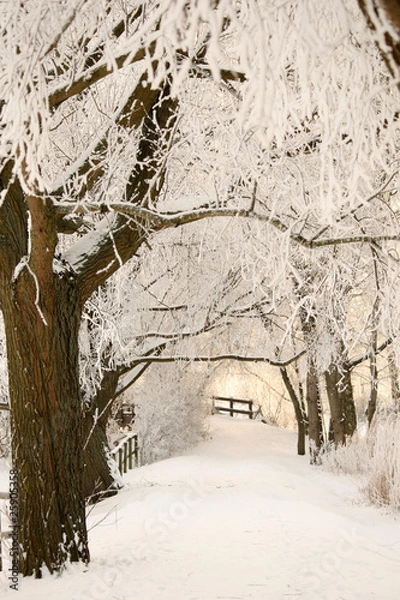 Obraz Winterimpression