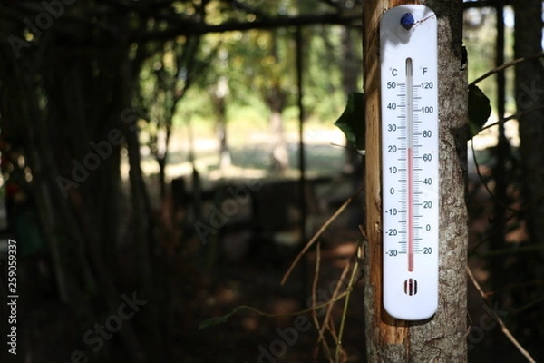 Obraz Temperatura Campo HD